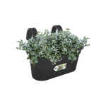 green basics easy hanger large living black